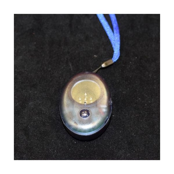 Small silver talking compass with a single button; a blue lanyard is attached.